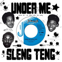 Wayne Smith ‎| Under Me Sleng Teng 7"