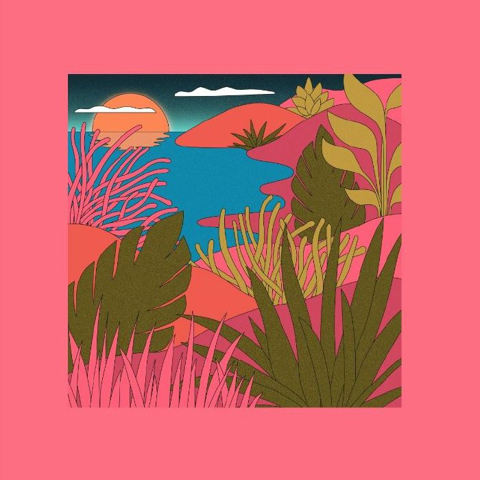 Funk/Soul/Disco – Dubwise Vinyl