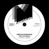 Hidden Sequence | Isms & Schisms 7"