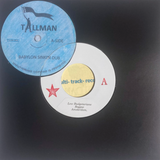 The Lowbudgetarians | Babylon Sinkin Dub / Shadows Dub 7"