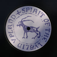 GTTRDMMRNG | Spirit of the Lublin Upland 12" EP