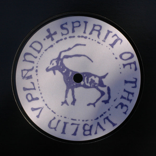 GTTRDMMRNG | Spirit of the Lublin Upland 12" EP