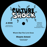 Shayne Amani | Where Has The Love Gone 7"