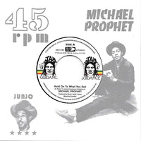 Michael Prophet | Hold On To What You Got 7"