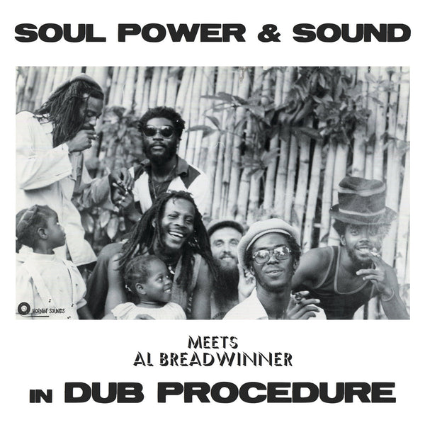 Soul Power & Sound Meets Al Breadwinner ‎| In Dub Procedure LP
